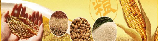 菏澤夏樂(lè)國(guó)際貿(mào)易有限公司